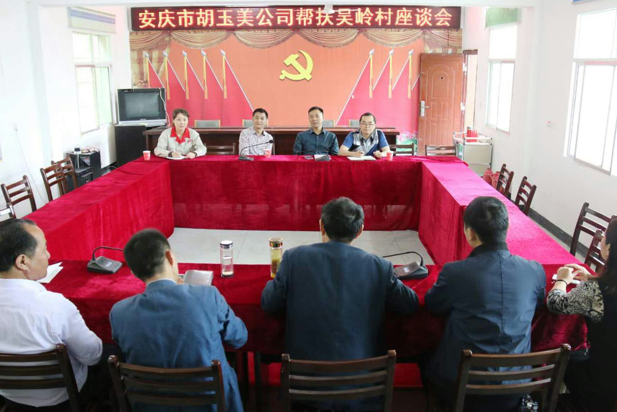公司领导赶赴太湖县吴岭村对接产业脱贫工作